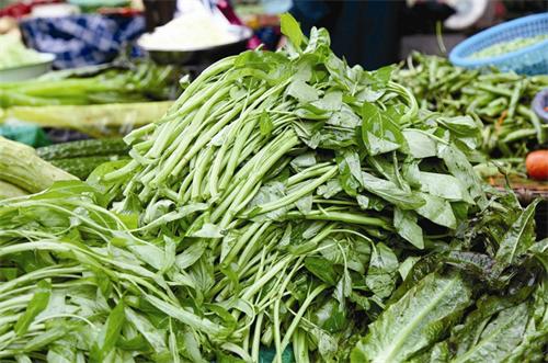 蘭州:農(nóng)藥殘留超標(biāo) 1批次水果抽檢不合格 蘭州:農(nóng)藥殘留超標(biāo) 1批次水果抽檢不合格