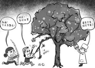 農(nóng)藥殘留會傷身“棒打”銀杏會傷樹 農(nóng)藥殘留會傷身“棒打”銀杏會傷樹