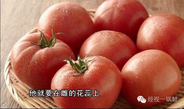 夏季蔬菜農(nóng)藥殘留排行榜 夏季蔬菜農(nóng)藥殘留排行榜