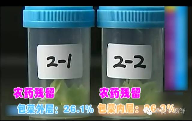 夏季蔬菜農(nóng)藥殘留排行榜 夏季蔬菜農(nóng)藥殘留排行榜