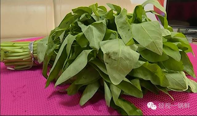 夏季蔬菜農(nóng)藥殘留排行榜 夏季蔬菜農(nóng)藥殘留排行榜