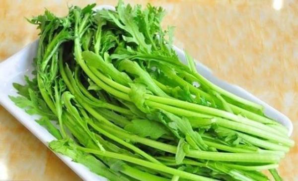 夏季吃蔬菜特別需要防范農(nóng)藥殘留 夏季吃蔬菜特別需要防范農(nóng)藥殘留