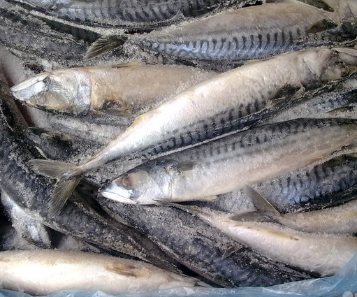 不易有農(nóng)藥殘留6種海鮮放心吃 不易有農(nóng)藥殘留6種海鮮放心吃