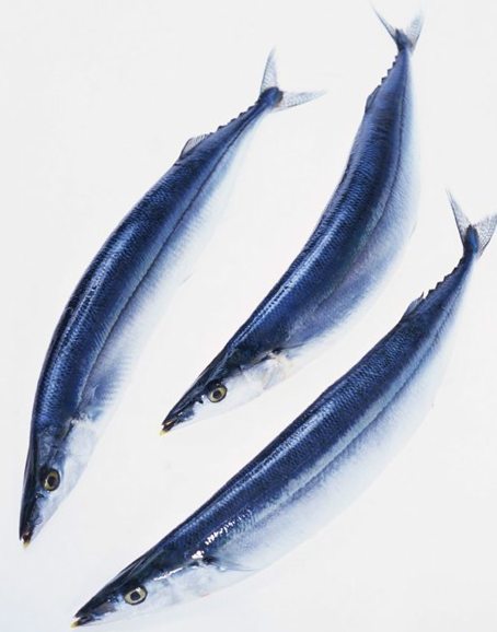 不易有農(nóng)藥殘留6種海鮮放心吃 不易有農(nóng)藥殘留6種海鮮放心吃