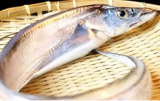 不易有農(nóng)藥殘留6種海鮮放心吃 不易有農(nóng)藥殘留6種海鮮放心吃