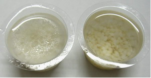 大米石蠟速測試劑盒 大米石蠟速測試劑盒