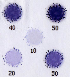 碘鹽含碘速測試劑盒 碘鹽含碘速測試劑盒