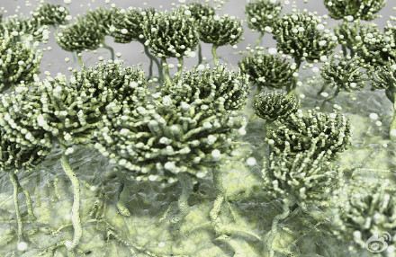 食品安全檢測儀器，水分儀，固含量，肉類水分儀，ATP熒光,農(nóng)藥殘留，藥物殘留.深圳市芬析儀器制造有限公司